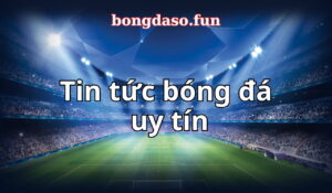 Tin tức bóng đá, tin soi kèo nhà cái, nhận định trận đấu, thông tin bên lề....tất cả có trong bongdaso.fun