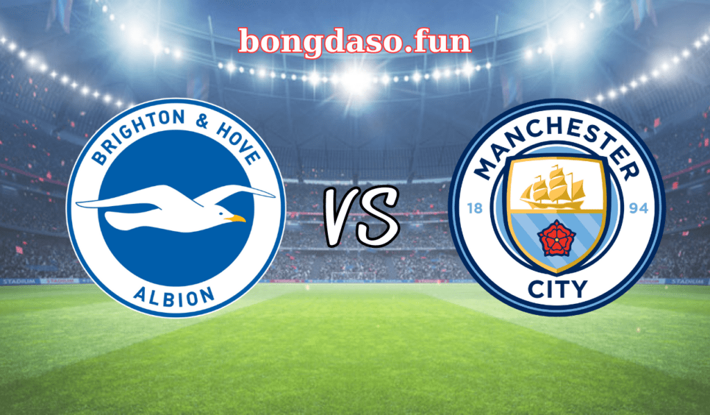 Brighton vs Manchester City: Chim mòng biển chào đón nhà vua nước Anh