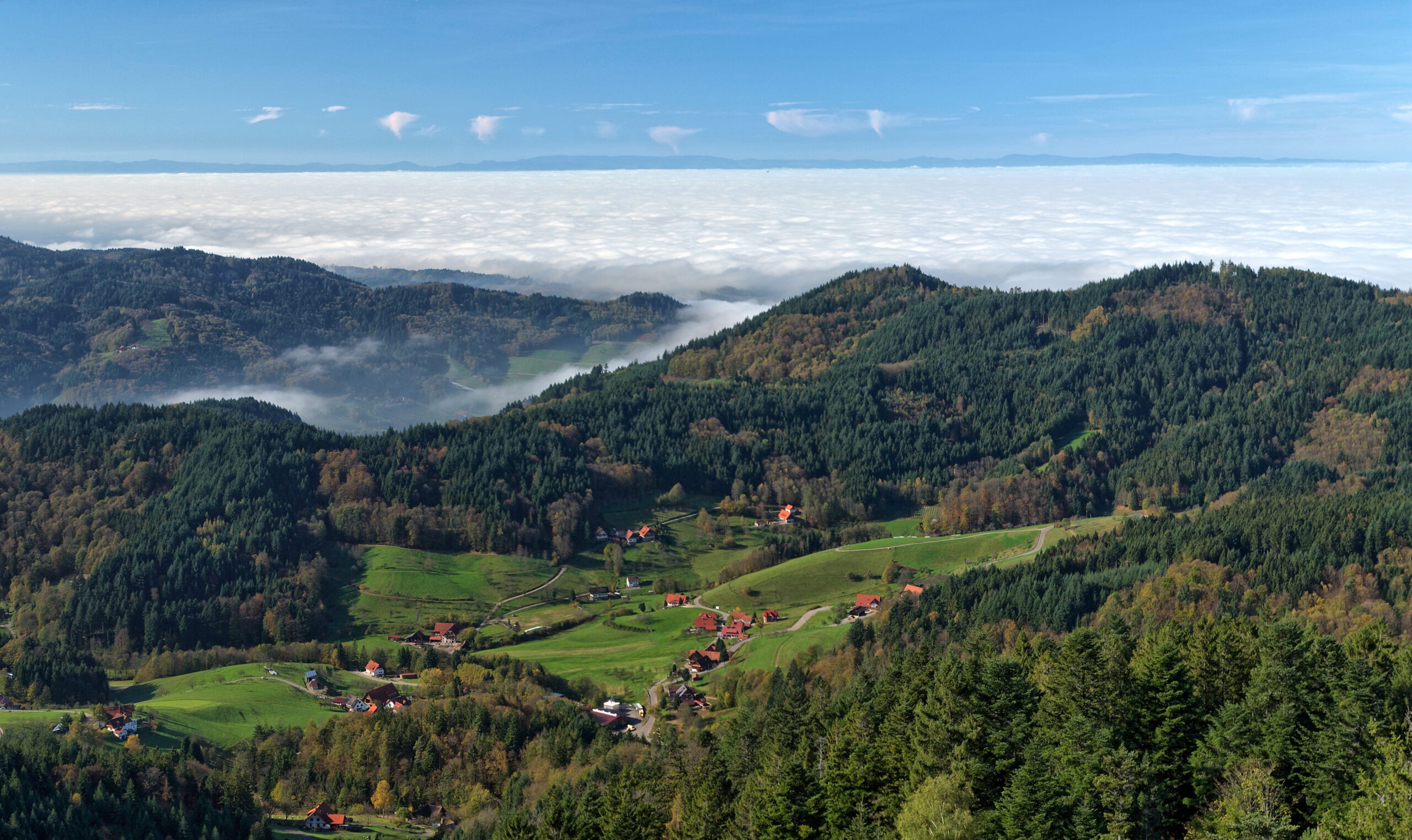 Toàn cảnh khu “Rừng Đen” nổi tiếng ở bang  Baden-Württemberg