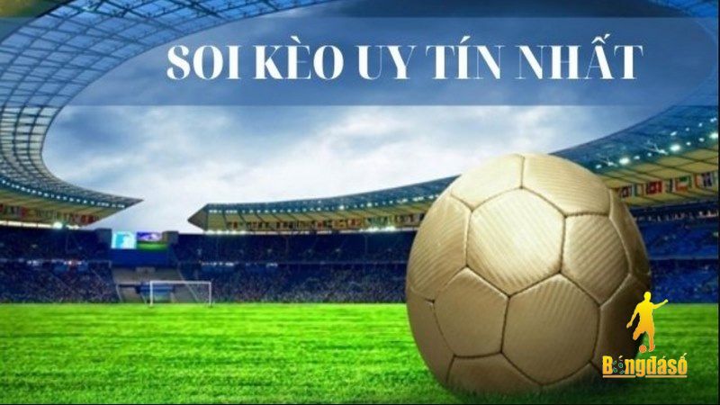 Địa chỉ keonhacai bio soi kèo uy tín