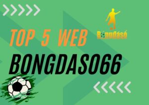 Top 5 website cập nhật bongdaso66 chính xác và nhanh chóng