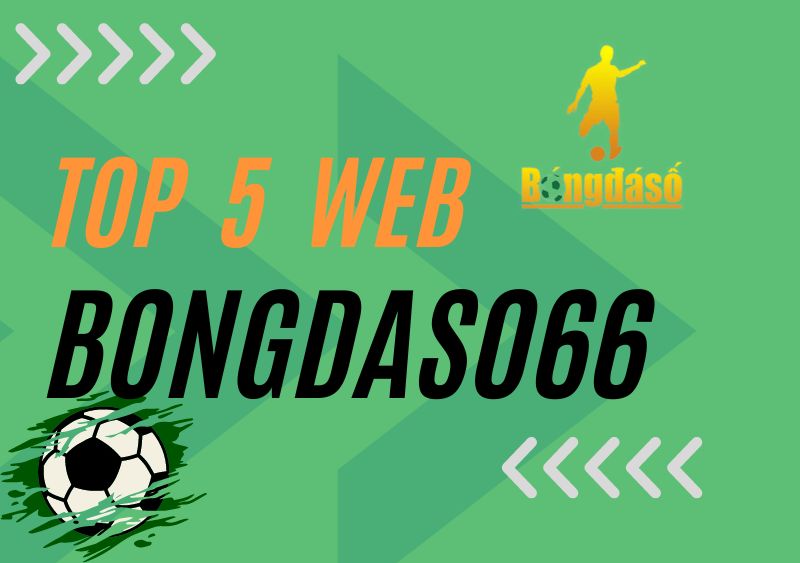 Top 5 website cập nhật bongdaso66 chính xác và nhanh chóng