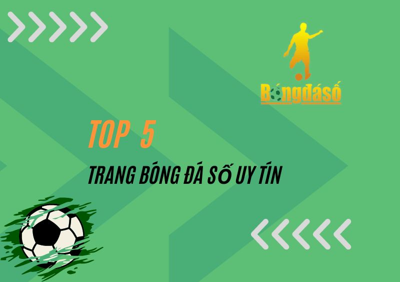 Top 5 trang bóng đá số uy tín được theo dõi nhiều nhất 2023