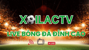 Xoilac TV - Đơn vị cung cấp những trận đấu bóng đá chất lượng