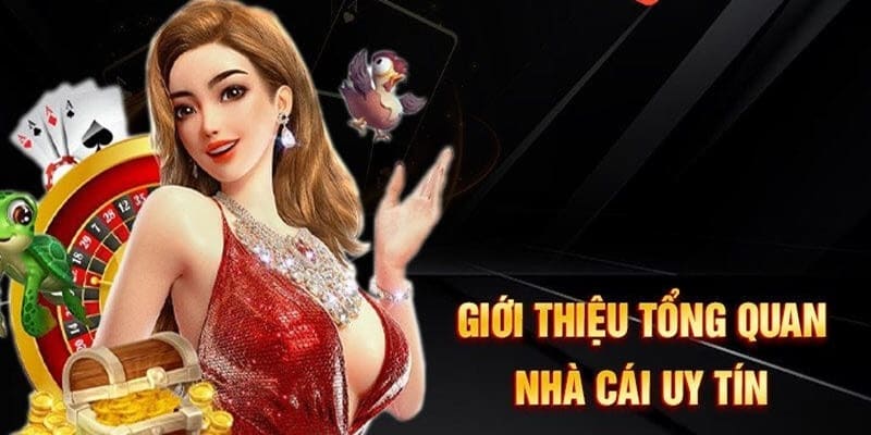 Giới thiệu sơ lược về thương hiệu hàng đầu châu Á 789Bet