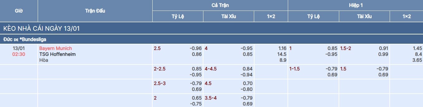 Tỷ lệ kèo trận Bayern vs Hoffenheim tại bongdaso