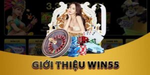 Giới thiệu nhà cái đẳng cấp Châu Á Win55