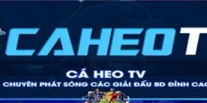 Sự xuất hiện và phát triển mạnh mẽ của trang trực tiếp bóng đá caheo tv