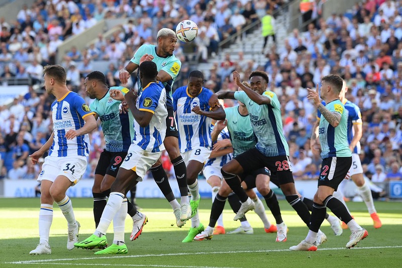 Nhận định, soi kèo nhà cái trận Newcastle vs Brighton