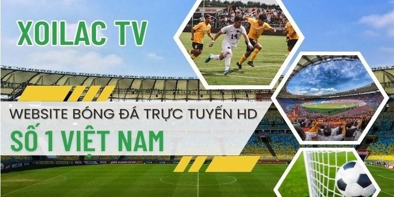 Lịch thi đấu trực tiếp euro có thành tựu nổi bật gì