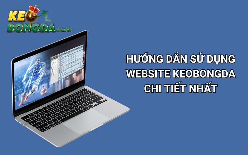 Hướng dẫn cách thao tác trên web