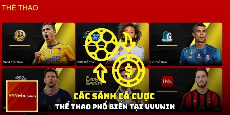 Các sảnh cá cược thể thao phổ biến tại VVVWIN