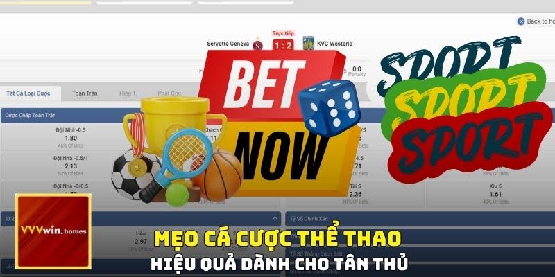 Mẹo cá cược thể thao hiệu quả dành cho tân thủ