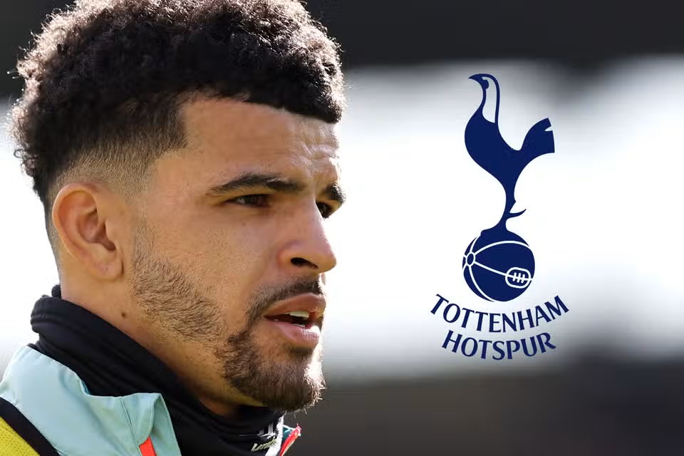 Quyết định chiêu mộ Solanke có phải là nước đi đúng đắn của Tottenham?