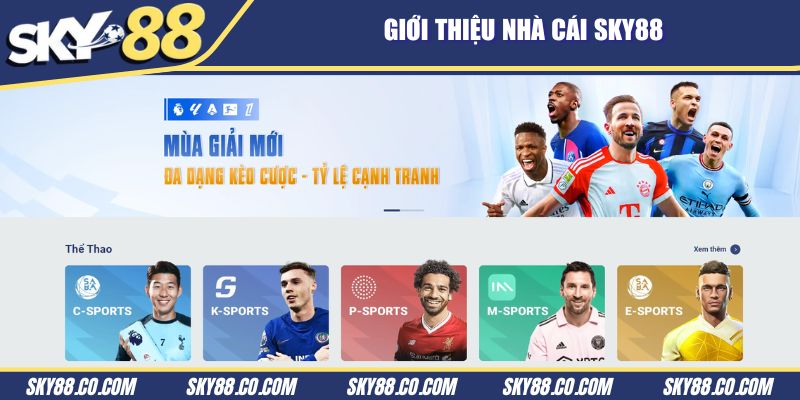 Giới thiệu nhà cái Sky88