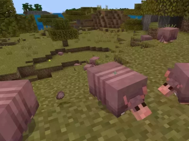 Minecraft 1.21.70 - Thanh định vị kết nối đồng đội nhanh hơn Minecraft 1.21.70 - Thanh định vị kết nối đồng đội nhanh hơn