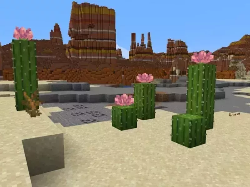 Minecraft 1.21.71 - Trải nghiệm mượt mà hơn qua tối ưu lõi