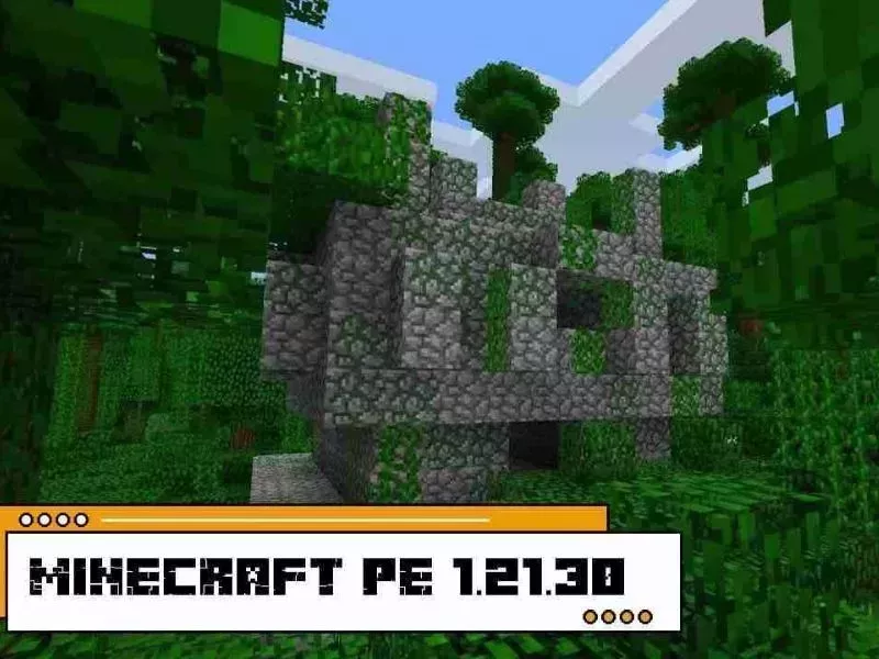 Minecraft 1.21.30 - Bundles – túi lưu trữ thử nghiệm