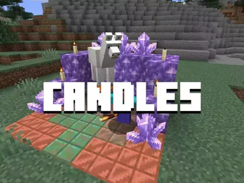 Xây nhà Minecraft - Chọn bảng màu vật liệu đơn giản