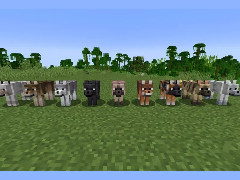 Thuần hóa mèo Minecraft - Vật phẩm hỗ trợ: dây dắt, thẻ tên, thuốc nhuộm Thuần hóa mèo Minecraft - Vật phẩm hỗ trợ: dây dắt, thẻ tên, thuốc nhuộm