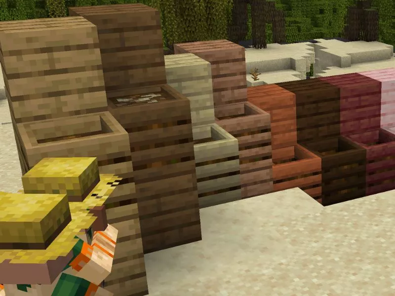 Đại dương Minecraft - Các biến thể biển và dấu hiệu nhận biết nhanh